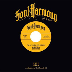 Виниловая пластинка Bobbi Row &amp; The Englishmen / The Question Marks - Why'D You Put Me On / Ain'T That Kinda Sad (LP)
