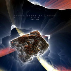 Виниловая пластинка Future Sound Of London The - Rituals