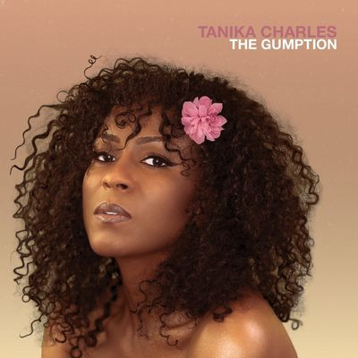 Виниловая пластинка Tanika Charles - The Gumption