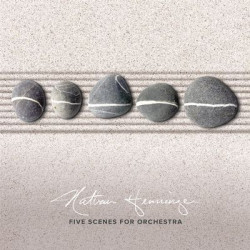 Виниловая пластинка Nathan Henninger The Scoring Berlin Orchestra - Five Scenes For Orchestra