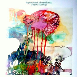 Виниловая пластинка Stephan Meidell &amp; Bergen Barokk - Temporal Gardening
