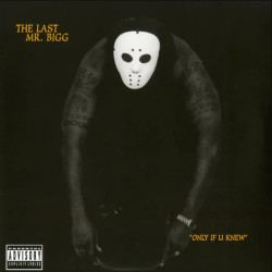 Виниловая пластинка The Last Mr. Bigg - Only If U Knew