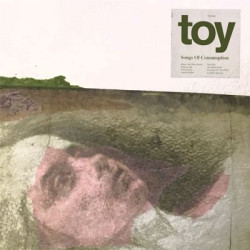 Виниловая пластинка Toy - Songs Of Consumption