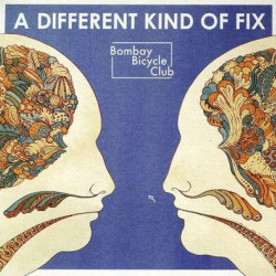 Виниловая пластинка Bombay Bicycle Club - A Different Kind Of Fix (1LP)