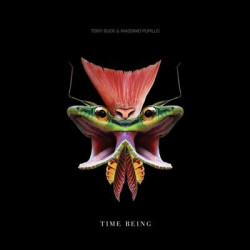 Виниловая пластинка Tony Buck And Massimo Pupillo - Time Being