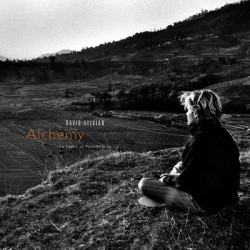 Виниловая пластинка David Sylvian &amp; Jon Hassell - Alchemy: An Index Of Possibilities