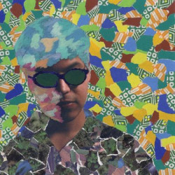 Diego Gaeta - Fearlessly Accessing The Divine Spirit Of Freedom From Here On Out (LP)