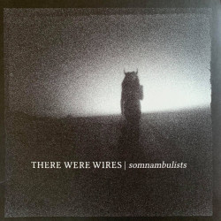 Виниловая пластинка There Were Wires - Somnambulists