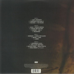 Виниловая пластинка Ludovico Einaudi - Einaudi Undiscovered II (2LP) чёрный винил