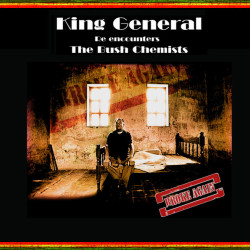Виниловая пластинка King General &amp; The Bush Chemis - Broke Again