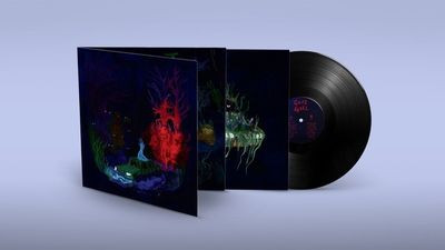 Виниловая пластинка Goat Girl - Below The Waste