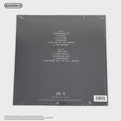 Виниловая пластинка США Imagine Dragons - Night Visions (LP)