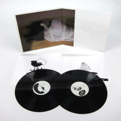 Виниловая пластинка Bjork - Greatest Hits (2LP)
