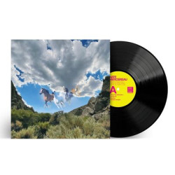 Nate Mercereau - Fantastic Thoughts (LP)
