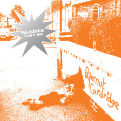 Виниловая пластинка Papernut Cambridge - Nutlets 1967-80