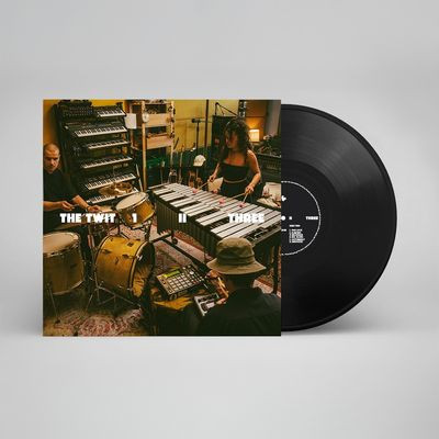 Виниловая пластинка The Twit 1, Ii, Three - The Twit 1, Ii, Three (LP)