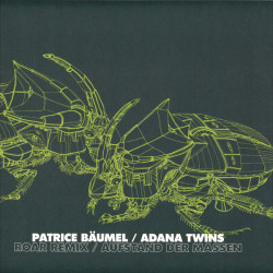 Виниловая пластинка Patrice Baumel/Adana Twins - Roars Remix/Aufstand Der Masse