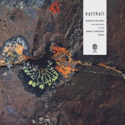 Виниловая пластинка Sebastian Mullaert Tonhalle O - Natthall