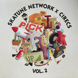 Виниловая пластинка Skatune Network - Pick It the Fuck Up 2