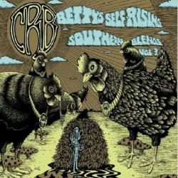 Виниловая пластинка Chris Robinson Brotherhood - Bettys Self-Rising Southern Bl
