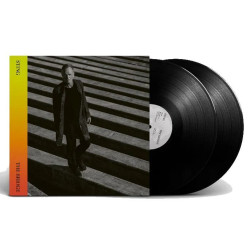 Виниловая пластинка Sting - The Bridge (2LP) deluxe