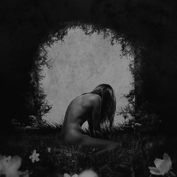 Виниловая пластинка Wildways - Anna (LP) серебряный винил