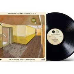 Виниловая пластинка Karate Boogaloo - Access All Areas (LP)