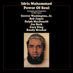 Виниловая пластинка Idris Muhammed - Power Of Soul (1LP)