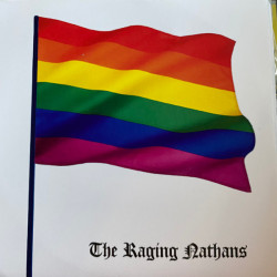 Виниловая пластинка The Raging Nathans - Bring Me The Head Of Betsy Devos