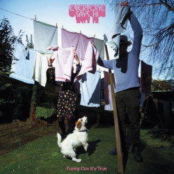 Everyone Says Hi - Funny Cos It'S True (LP)