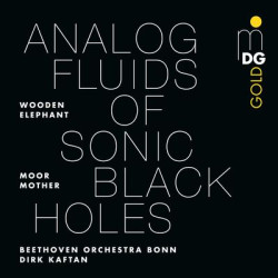 Виниловая пластинка Moor Mother, Wooden Elephant, Beethoven Orchester Bonn, Dirk Kaftan - Analog Fluids Of Sonic Black Holes
