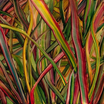 Виниловая пластинка Gengahr - Where Wildness Grows