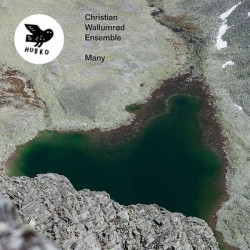 Виниловая пластинка Christian Wallumrod Ensemble - Many