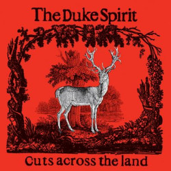 Виниловая пластинка Duke Spirit - Cuts Across The Land (Deluxe)