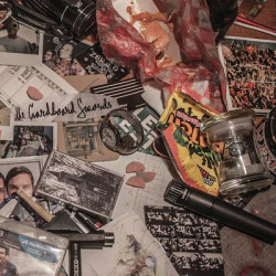 Виниловая пластинка The Cardboard Swords - The Cardboard Swords
