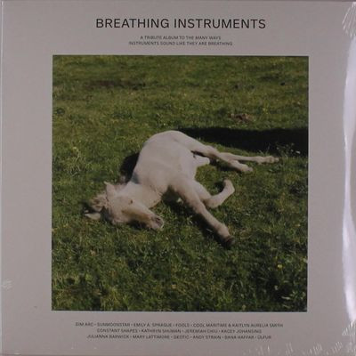 Виниловая пластинка Various Artists - Breathing Instruments