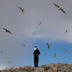Виниловая пластинка Hamerkop - Remote
