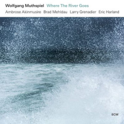 Виниловая пластинка Muthspiel Wolfgang/Quintet - Where The River Goes