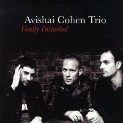Виниловая пластинка Avishai Cohen Trio - Gently Disturbed