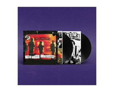 Виниловая пластинка The Libertines - Up The Bracket (2LP)