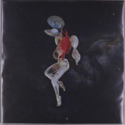Виниловая пластинка Hail Spirit Noir - Fossil Garden (Orange/Red Vinyl)