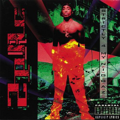 Виниловая пластинка 2Pac - Strictly 4 My N.I.G.G.A.Z. (2LP/180G)