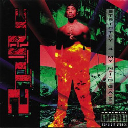 Виниловая пластинка 2Pac - Strictly 4 My N.I.G.G.A.Z. (2LP/180G)