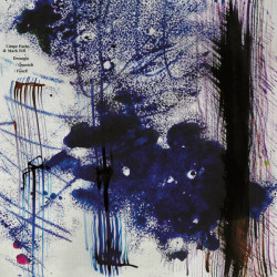 Виниловая пластинка Limpe Fuchs &amp; Mark Fell - Dessogia / Queetch / Fauch