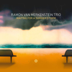 Виниловая пластинка Ramon van Merkenstein Trio - Waiting for a Summer Storm