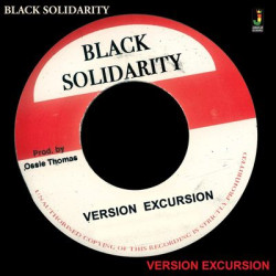 Виниловая пластинка Various Artists - Black Solidarity Version Excur