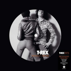 Виниловая пластинка T. REX - Teenage Dream (50th Anniversary) Picture Disc