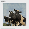 Виниловая пластинка США Pink Floyd - Atom Heart Mother (LP)