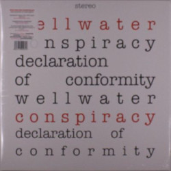 Виниловая пластинка Wellwater Conspiracy - Declaration Of Conformity (12in)