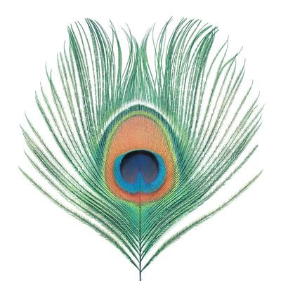 Виниловая пластинка XTC - Apple Venus Vol 1 (1LP/200g)